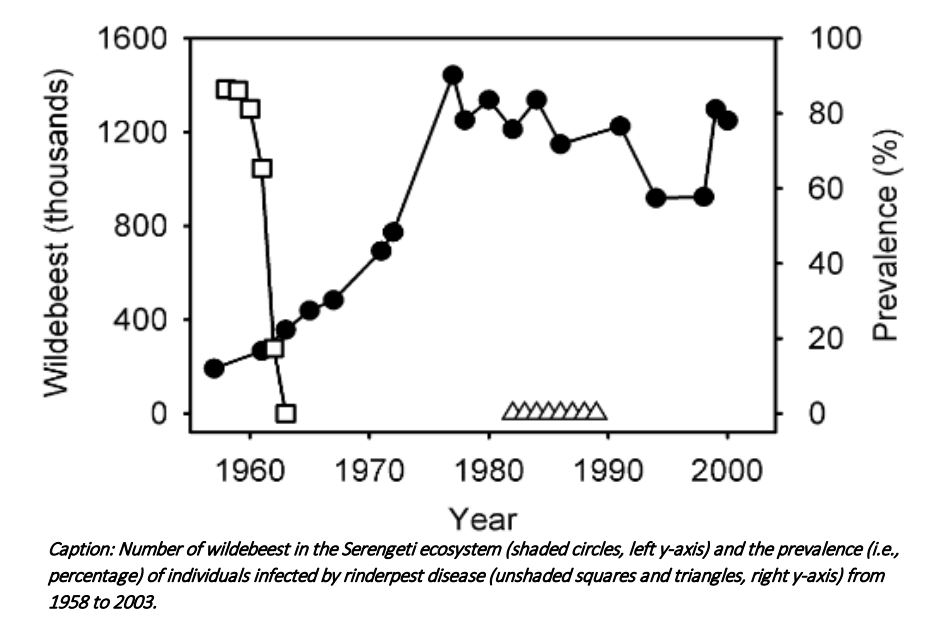 Chart showing eradication of rinderpest and increase in wildebeest population in serengeti