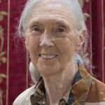 Jane Goodall