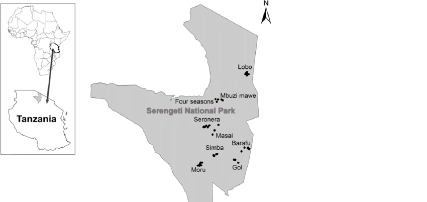 Map-showing-the-nine-main-kopje-clusters-black-dots-in-Serengeti-National-Park-which