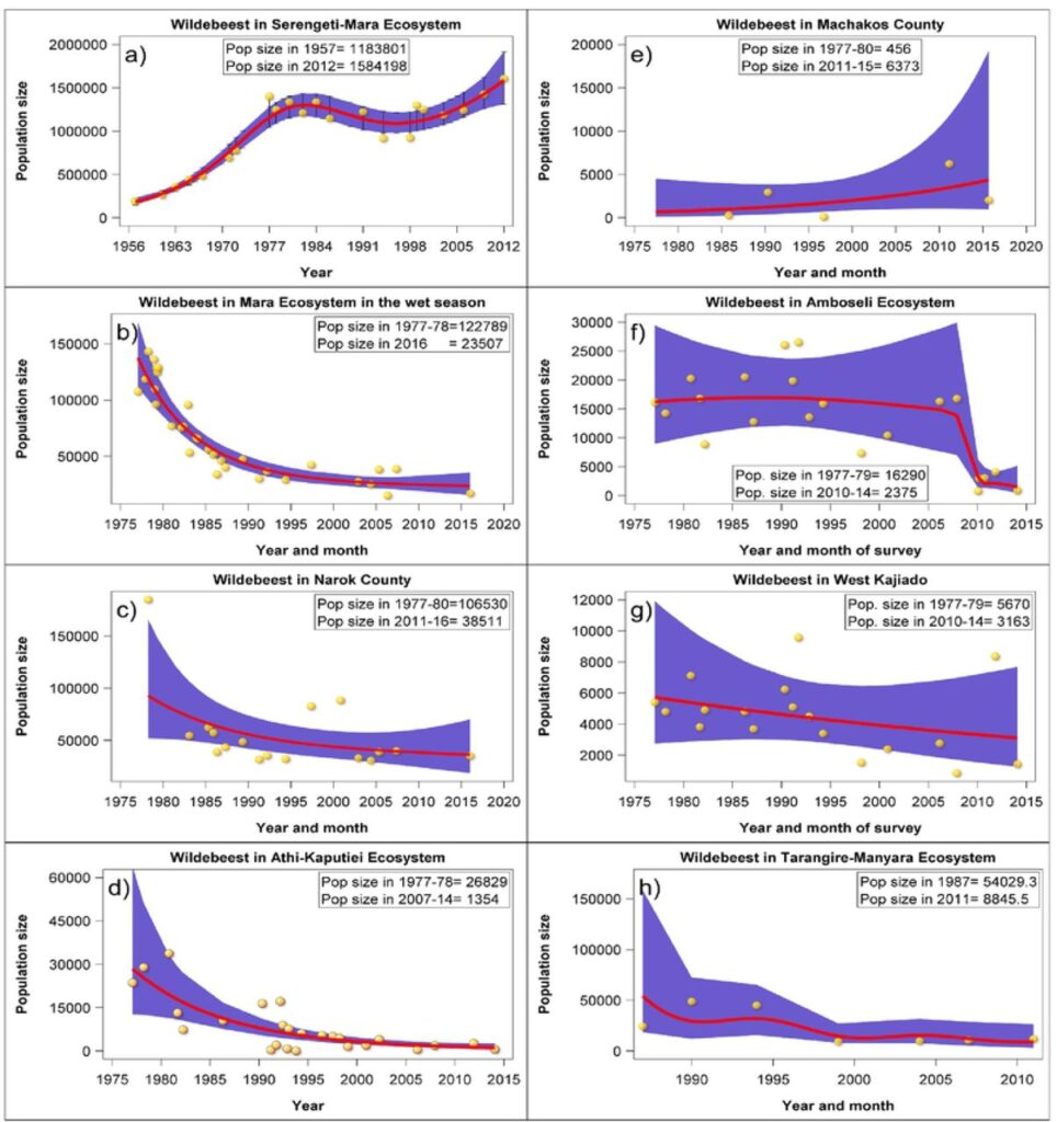 Trends in population size of migratory wildebeest populations in a) Serengeti-Mara ecosystem, b) Masai Mara ecosystem, c) Narok County in which Masai Mara is located, d) Athi-Kaputiei ecosystem, e) Machakos County, f) Greater Amboseli ecosystem, g) West Kajiado and h) Tarangire-Manyara ecosystem
