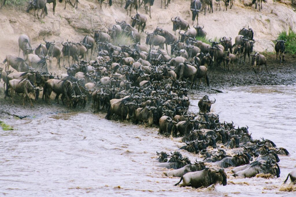 water, nature, kenya