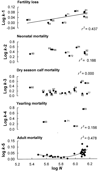 wildebeest mortality